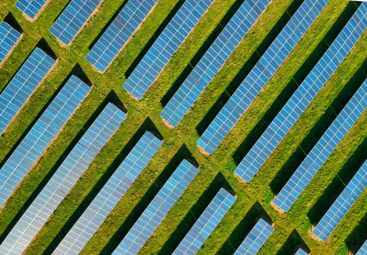zielona energia obsługa farmy fotowoltaicznej